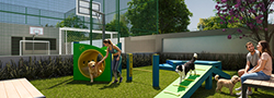 petspace-desktop